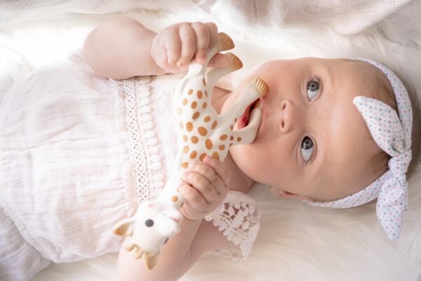 Sophie la Girafe Diş Kaşıyıcı