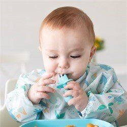 Bumkins Uzun Kollu Önlük (6-24 ay) Dinosaurs