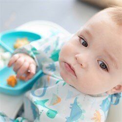 Bumkins Uzun Kollu Önlük (6-24 ay) Dinosaurs