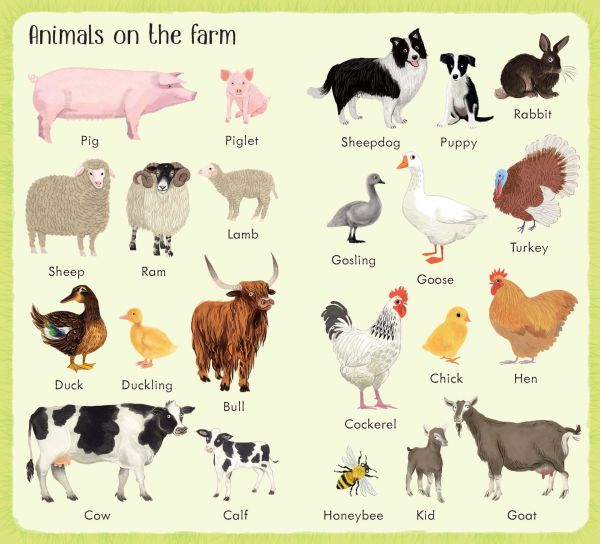 Usb - 199 Things On The Farm