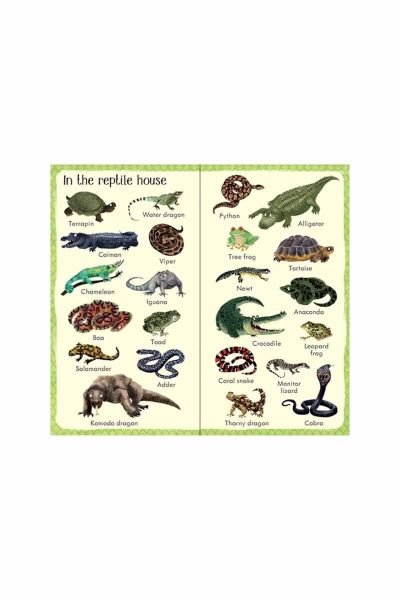 Usb - 199 Zoo Animals