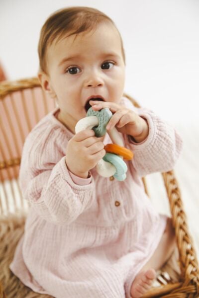 Sophie la girafe Dokulu Diş Kaşıyıcı