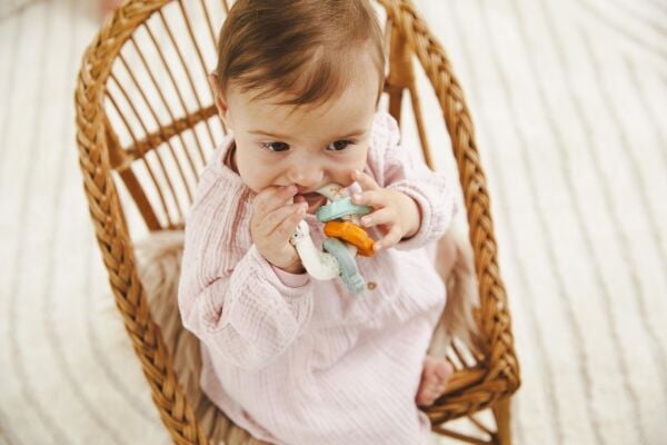Sophie la girafe Dokulu Diş Kaşıyıcı