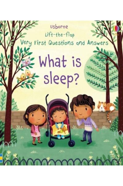 Ltf Vf Q&a What Is Sleep?