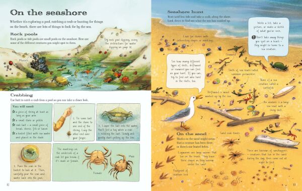 Usborne Outdoor Book