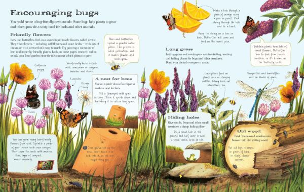 Usborne Outdoor Book