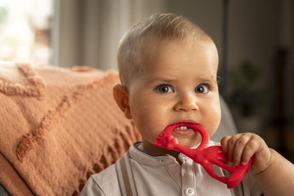 Sophie la Girafe Vanilya Diş Kaşıyıcı