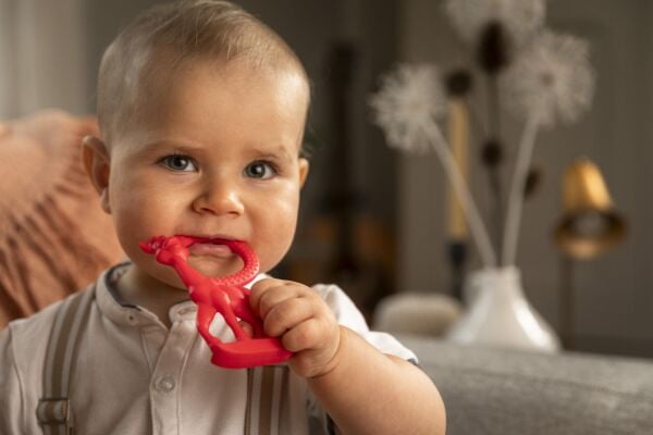 Sophie la Girafe Vanilya Diş Kaşıyıcı