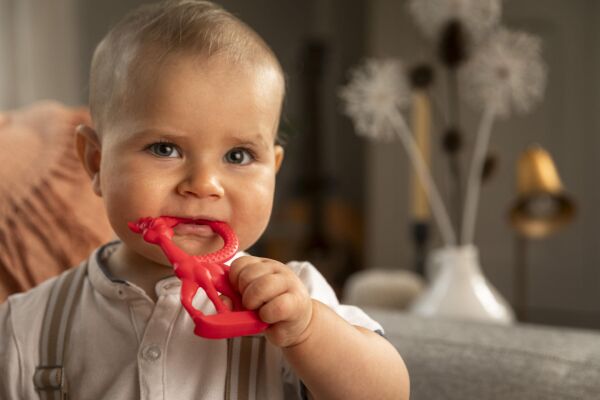 Sophie la Girafe Vanilya Diş Kaşıyıcı