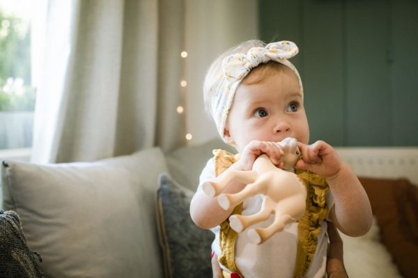 Sophie la Girafe Al'Thir Diş Kaşıyıcı