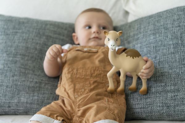 Sophie la Girafe Al'Thir Diş Kaşıyıcı