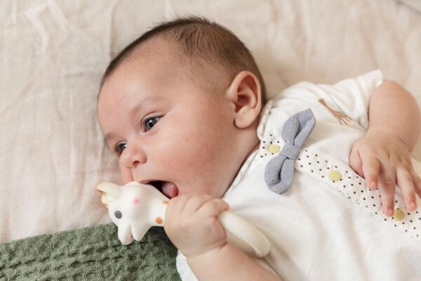 Sophie la Girafe So Pure Sophie Halka Diş Kaşıyıcı