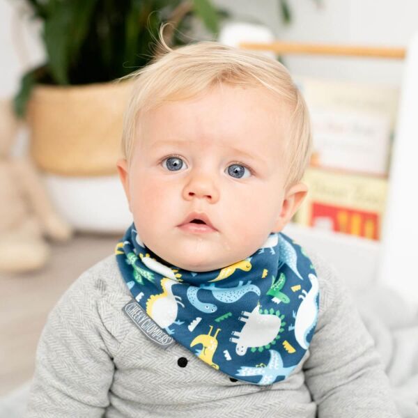Cheeky Chompers Neckerbib Stripes & dino