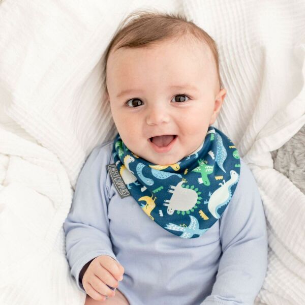 Cheeky Chompers Neckerbib Stripes & dino