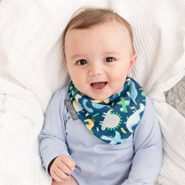 Cheeky Chompers Neckerbib Stripes & dino